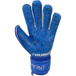 Reusch Attrakt Fusion Guardian