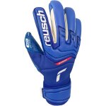 Reusch Attrakt Fusion Guardian