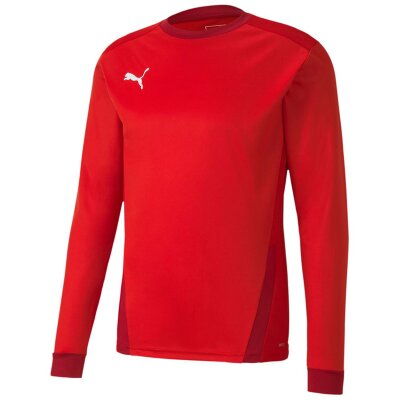 Puma teamGoal 23 Trikot Langarm