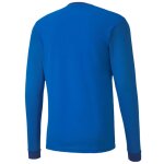 Puma teamGoal 23 Trikot Langarm - electric blue...