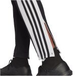 adidas Squadra 21 Trainingshose