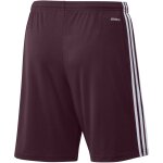 adidas Squadra 21 Short - team maroon/white - Gr. l