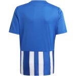 adidas Striped 21 Trikot