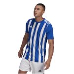 adidas Striped 21 Trikot