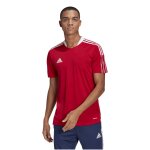 adidas Tiro 21 Training Jersey