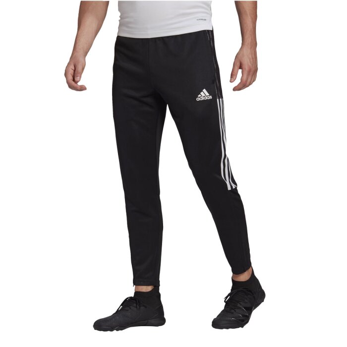 Corte de pelo labio Anunciante adidas Tiro 21 Trainingshose bestellen | eng | Angebot