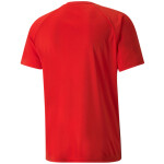 Puma teamVision Trikot Jersey - puma red-chili pepper-puma whi - Gr. m