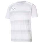 Puma teamVision Trikot Jersey - puma white-glacier...
