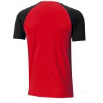 Puma teamPacer Trikot Jersey