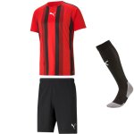 Puma teamLiga Striped Trikotsatz