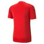 Puma teamGlory Trikot Jersey