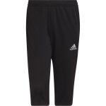 adidas Entrada 22 3/4 Pant