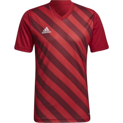 adidas Entrada 22 GFX Trikot