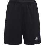 adidas Entrada 22 Training Short