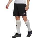 adidas Entrada 22 Training Short