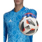 adidas Predator Competition - sapphire-edge