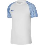 Nike Academy Kinder Trikotsatz