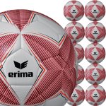 10er Erima Senzor Lite Kinder Ballpaket 290 gramm - Gr. 4