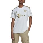 adidas FC Bayern Trikot 2022/2023 Away mit Nummer + Name - Erw - Gr.  3XL