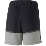 Puma teamCup 23 Casuals Jogging Shorts