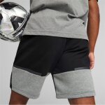 Puma teamCup 23 Casuals Jogging Shorts