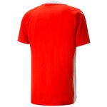 Puma teamCup 23 Trikot Jersey