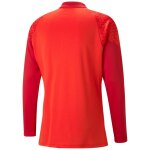 Puma teamCup 23 Training 1/4 Zip Top