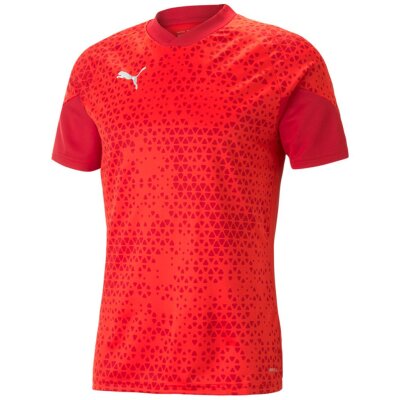 Puma teamCup 23 Training Jersey