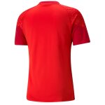 Puma teamCup 23 Training Jersey