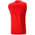 Puma teamCup 23 Training Jersey SL Tank Top