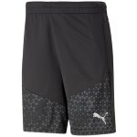 Puma teamCup 23 Training Shorts