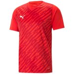 Puma teamUltimate 23 Trikotsatz