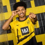 Puma BVB Trikot 2023/2024 Home - Erw