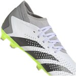 adidas Predator Accuracy.3 FG - Crazyrush