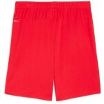 Puma teamGoal 24 Shorts