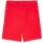 Puma teamGoal 24 Shorts