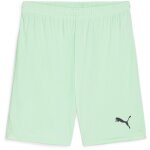 Puma teamGoal 24 Shorts - Fresh Mint-Puma Black - Gr. xl