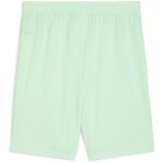 Puma teamGoal 24 Shorts - Fresh Mint-Puma Black - Gr. xl