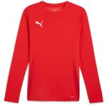 Puma teamGoal 24 Langarm Trikot Jersey