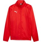 Puma teamGoal 24 Allwetterjacke