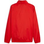 Puma teamGoal 24 Allwetterjacke