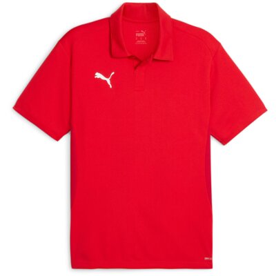 Puma teamGoal 24 Polo von Puma