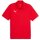 Puma teamGoal 24 Polo