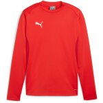 Puma teamGoal 24 Training Sweat