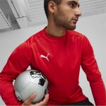 Puma teamGoal 24 Training Sweat