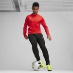 Puma teamGoal 24 Training Sweat