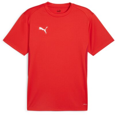 Puma teamGoal 24 Jersey von Puma