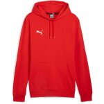 Puma teamGoal 24 Casuals Hoody