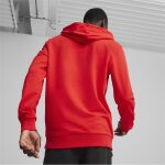 Puma teamGoal 24 Casuals Hoody