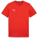 Puma teamGoal 24 Casuals Tee